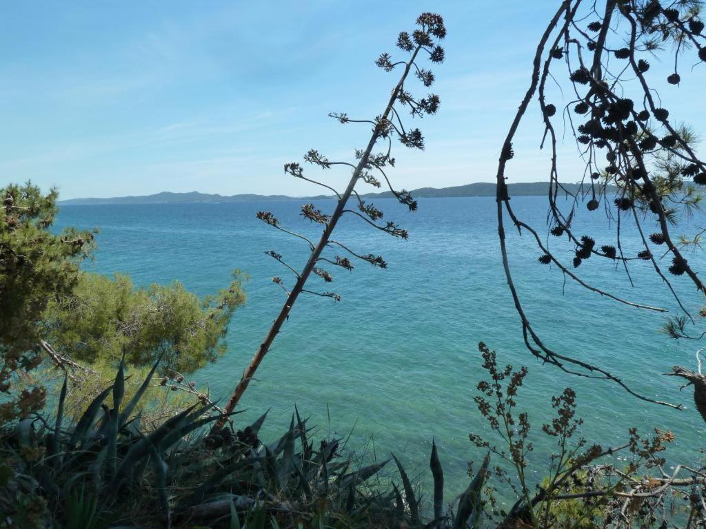 Hobbit Apartman Zadar
